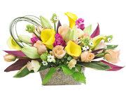 /zh/s/product_short/L66667