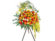 /zh/s/product_short/SD1123C2