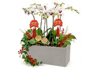 /en/s/product_short/CRO20106A2