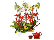 /en/s/product_short/L76610690