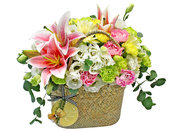 /en/s/product_short/L0194335