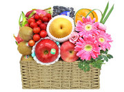 /en/s/product_short/L7777806