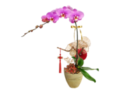 /en/s/product_short/CRO20105A4