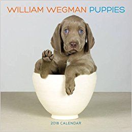 William Wegman Puppies 2018 Wall Calendar: William Wegman: #dogcalendars #willia...