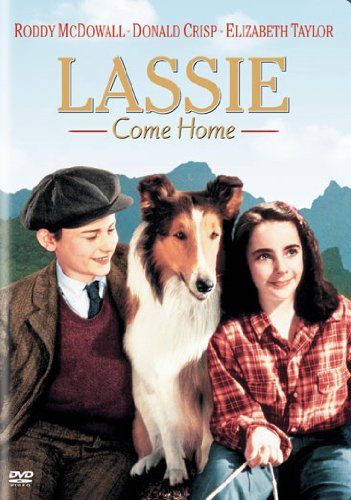 Elizabeth Taylor and Roddy McDowall starred in Lassie - family friendly dog-them...