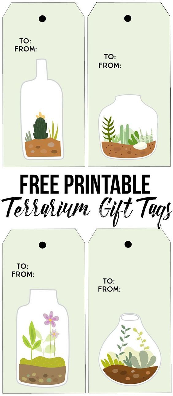 Printable Terrarium Gift Tags from Live Laugh Rowe