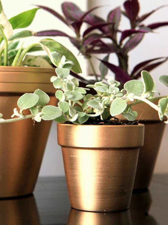 Adding shine to basic plant pots can be done in a flash with a simple can of gol...
