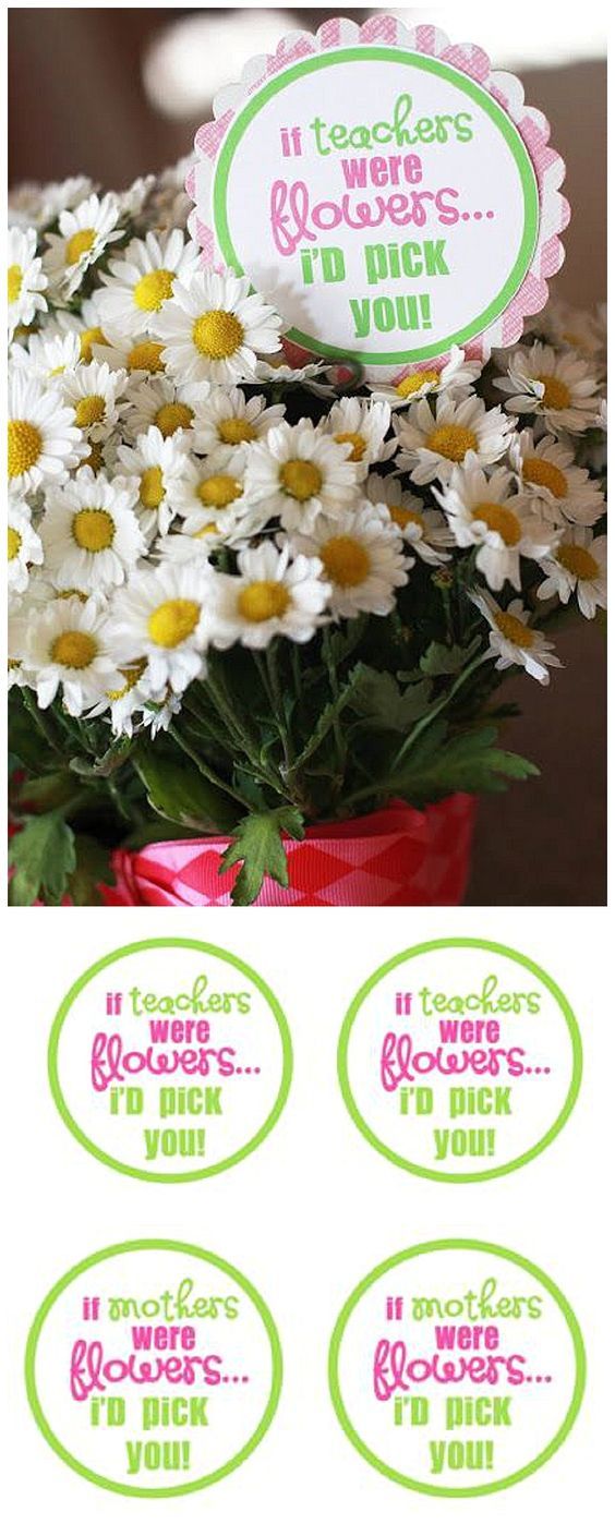 EASY Last second Teacher Appreciation Week or Mother's Day gift idea!  FREE ...