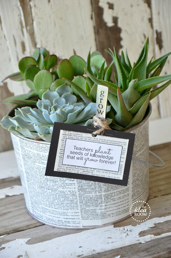 Easy Teacher's Appreciate Gift Idea  | Succulent planter | theidearoom.net