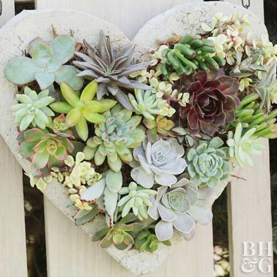 Add charm to your outdoor space with this gorgeous succulent hanging that's shap...