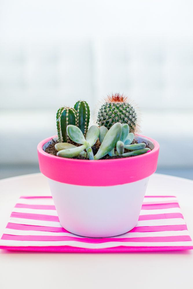 Makeover your flower pots with this easy DIY from Best Friends For Frosting and ...