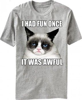 Grumpy Cat “I Had Fun Once, It Was Awful” T-shirt