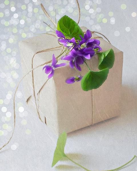 topped with violets - pretty DIY gift wrap idea.