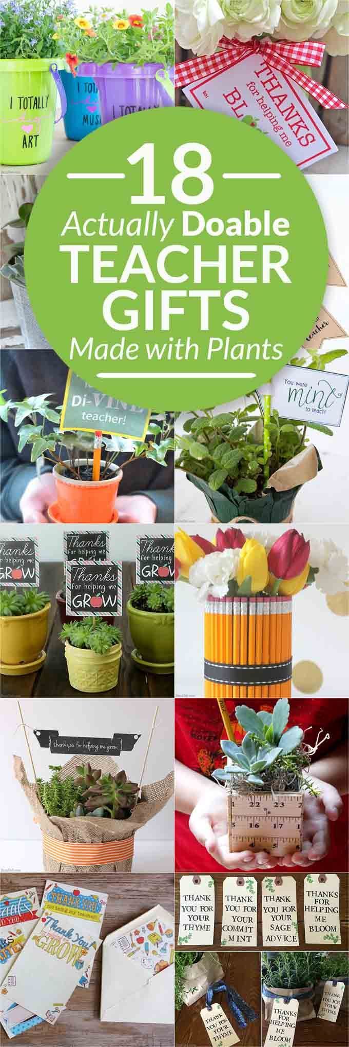 18 beautiful plant gifts for teachers with free printables, affordable teacher p...