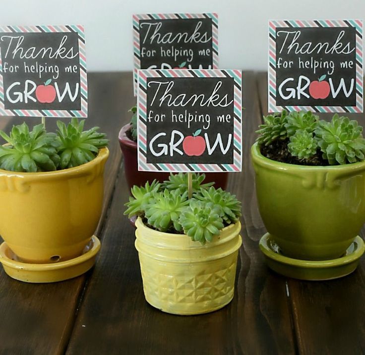 A succulent plant with a printable label, 