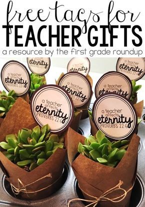 Teacher Appreciation Gift and FREEBIE | How to make these quick and easy succule...
