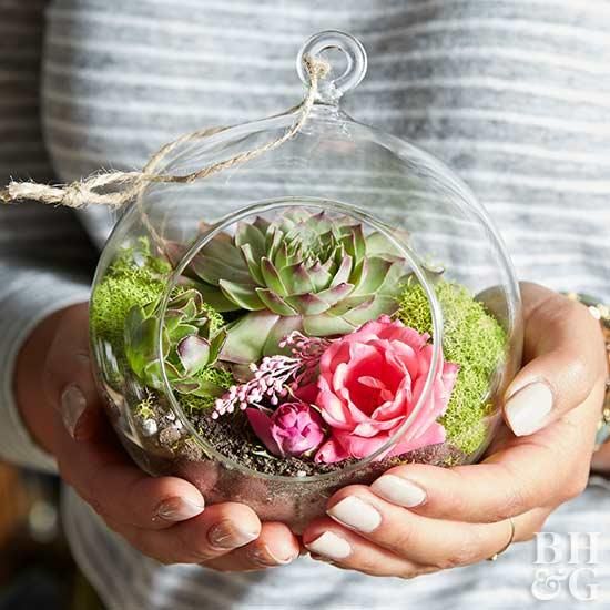 This easy DIY indoor garden doubles as a stunning decoration! Learn how to build...