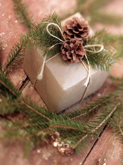 .gift package Christmas wrapping ideas