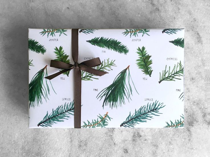 Fine gift wrap sheets printed with original illustrations of a evergreen branche...