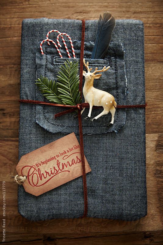 Hipster gift wrapped in denim with leather twine and ornaments by Trinette Reed