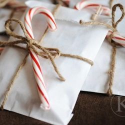 candy cane, paper bags, and twine make a simple wrap