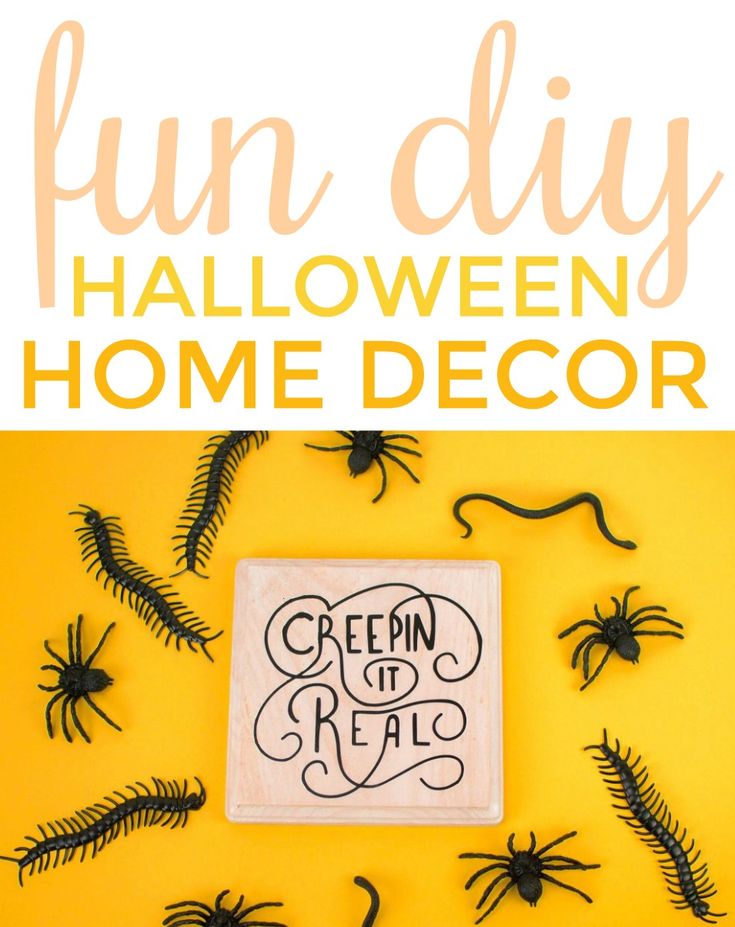 With Halloween only days away, you need to check out how you can make this Fun D...