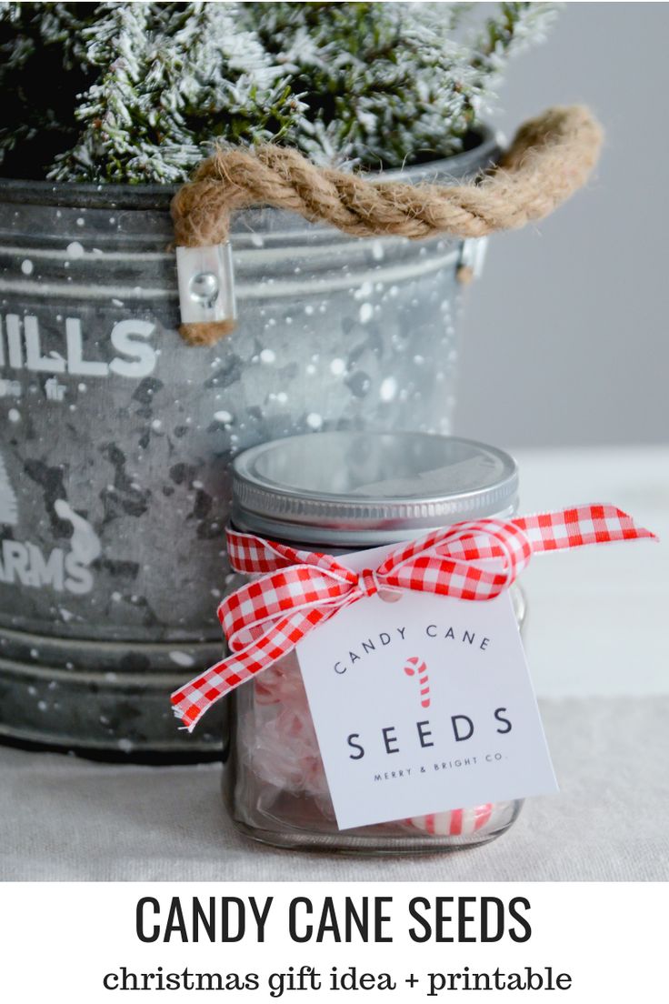Candy Cane Seeds | Christmas Gift Idea & Printable #candycanes #candycaneseeds #...