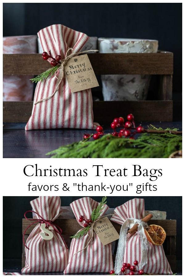Learn how to make these Christmas treat bags for party favors or as a small 