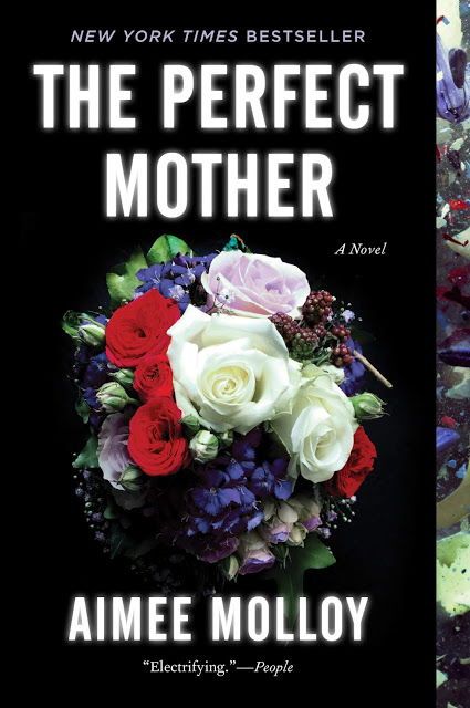 Motherhood. New moms. A psychological thriller by Aimee Molloy. Soon to be a mov...