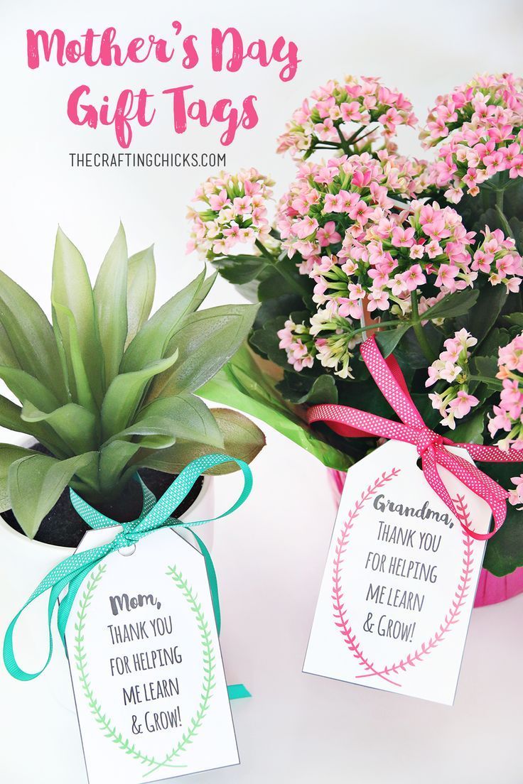 Mother's Day Plant Printable Gift Tags - Mother’s and Grandmother’s will lov...