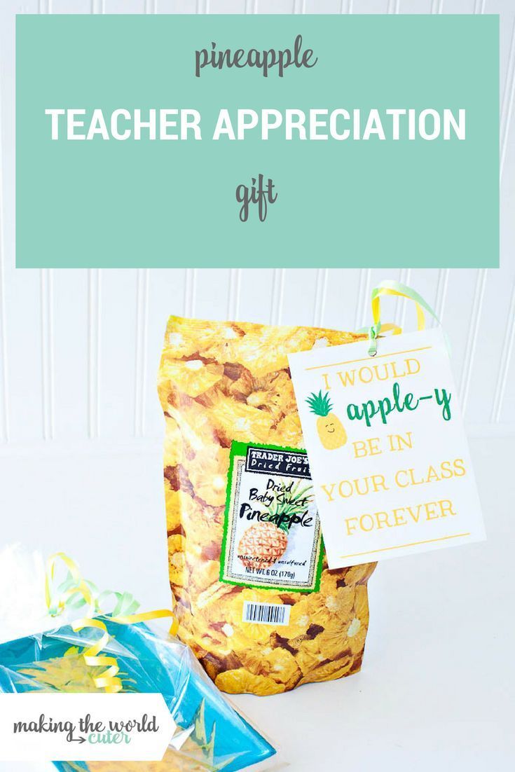 Pineapple Teacher Appreciation Gift with Free Printable Tag
