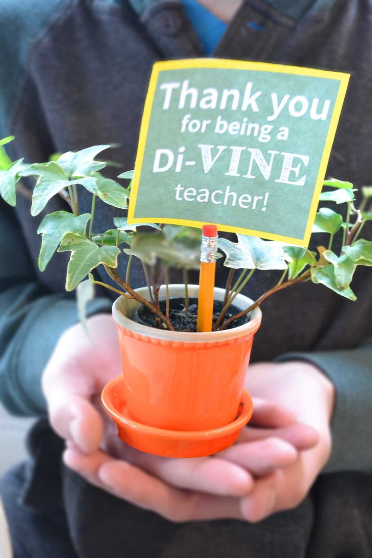 All you need to create this cute gift is a vine, pot, pencil, and tag. I've ...