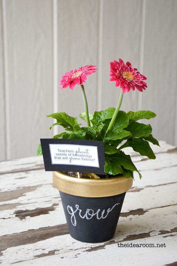 DIY chalkboard potted plant for teacher appreciation #teacher #appreciation #ide...
