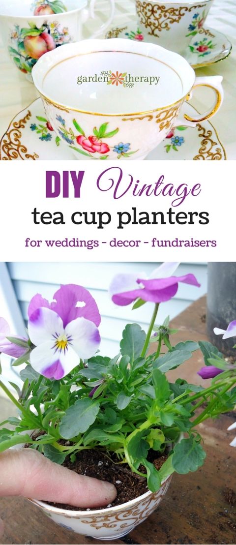 Tea cup planters for Mother's Day, teacher gifts, weddings, and as a fundrai...