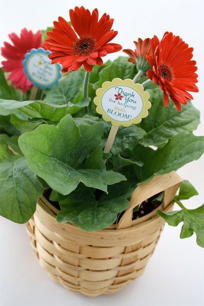 Teacher Appreciation Gift Idea: flowers with free printable gift tag