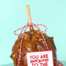 Teacher appreciation chocolate covered apple gift idea