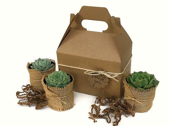 Succulent Gift Box-Garden in a Box-Personalized Gift-Gardener