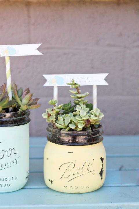 Mason Jar Succulent Pots:  Stick her favorite plants in a pastel-painted jar for...