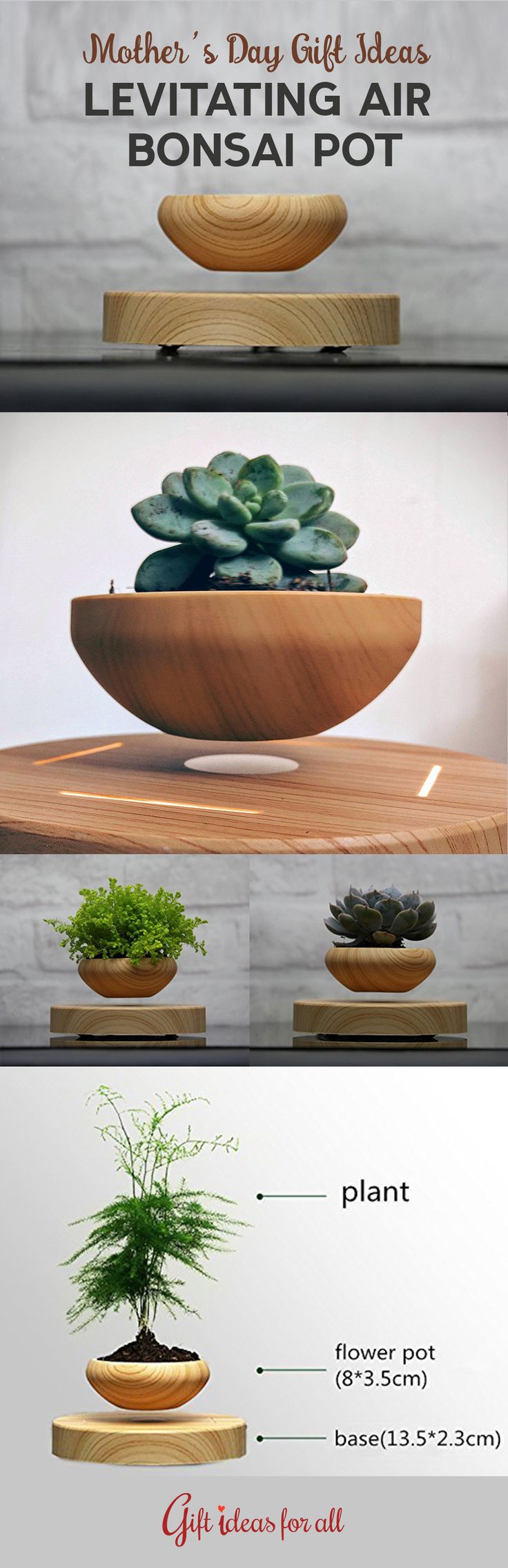 Really unique Levitating Air Bonsai Pot that holds a small plant in air. This co...