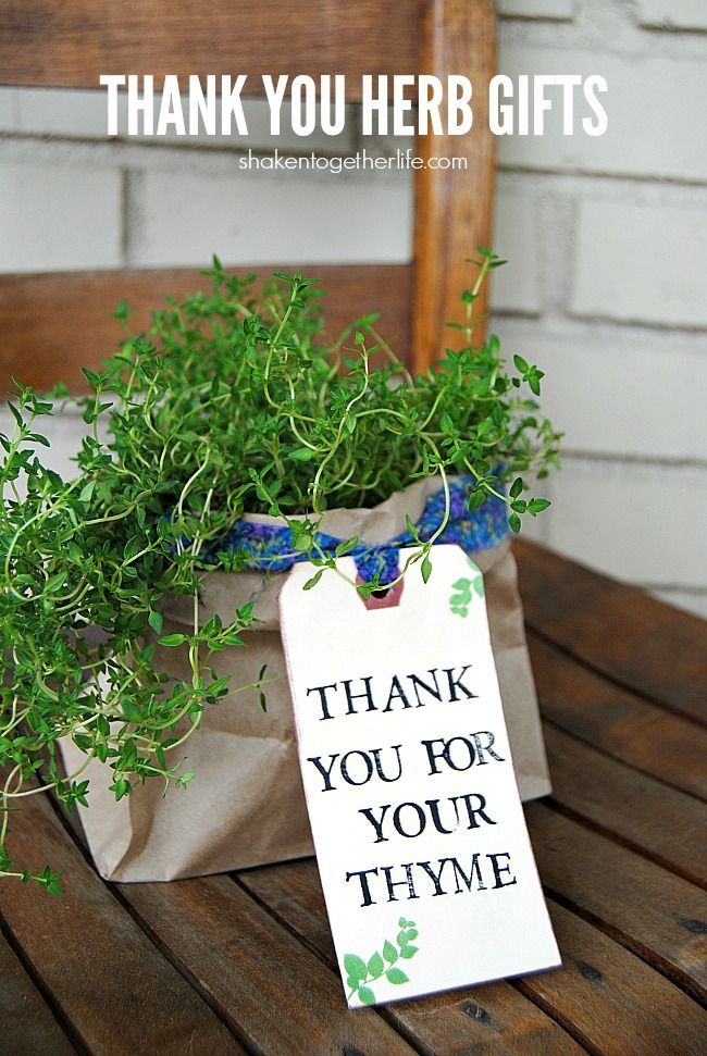 A hand stamped tag and a pretty fabric tie make these Thank You Herb Gifts the p...