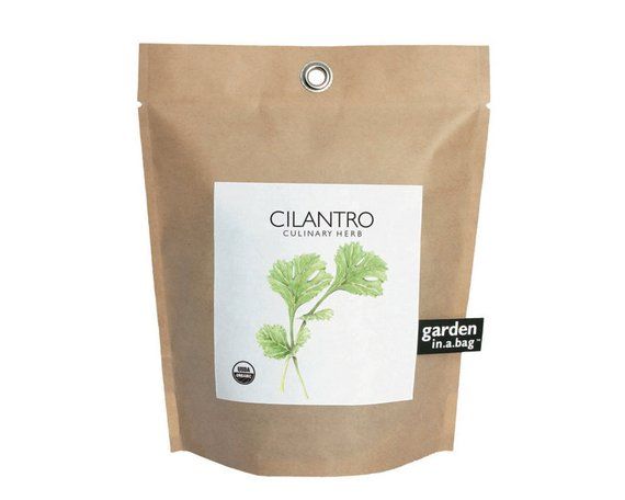 Cilantro Garden-in-a-Bag – Self Contained Grow Kit – Eco Friendly – Hostes...