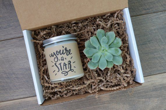 You're a Star Gift Box / Corporate Gift Box / Succulent Gift / Best Friend G...