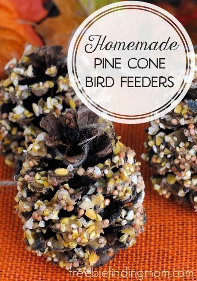 Homemade Pine Cone Bird Feeders - Mother nature provides the main 