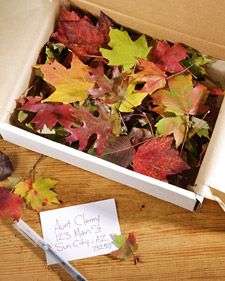 Give fall leaves a sparkling touch by adding a bit of glitter. use the leaves fo...