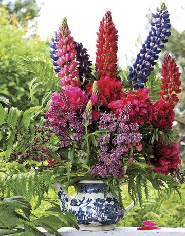 Extravagant blooms, such as garden roses, lupines, peonies, and lilacs, set the ...