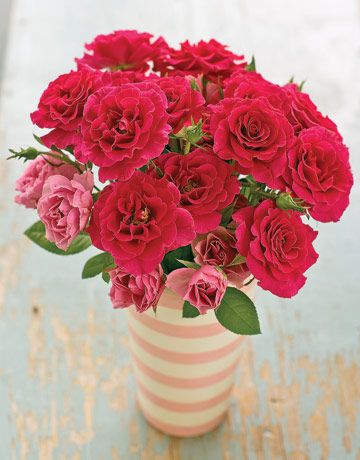 Mother's Day is turning 100, so we rounded up the most popular flowers throu...