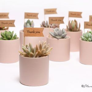 Corporate Gifts Ideas Corporate Gifts Ideas WEDDING & CORPORATE GIFTS | Plant A ...