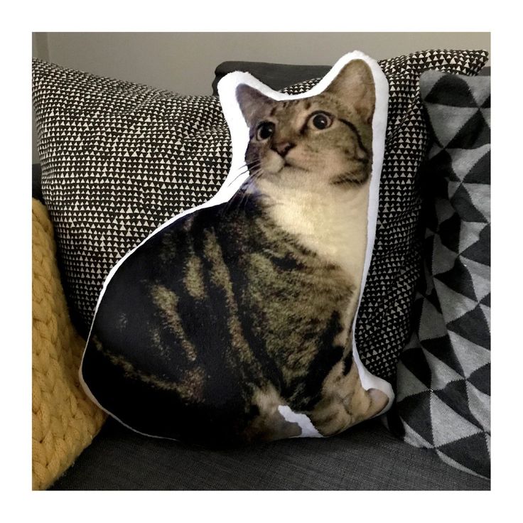 Fur fabric pet cushion Custom cat portrait pillow by mypillowheads on Etsy