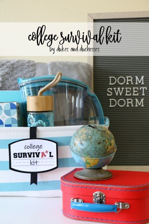 college survival kit gift idea with a free printable tag