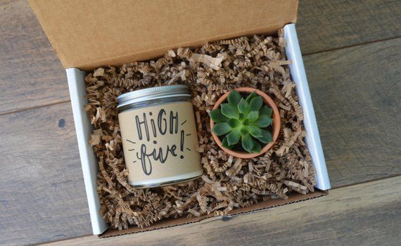 High Five Gift Box / Corporate Gift Box / Succulent Gift / Best Friend Gift / So...